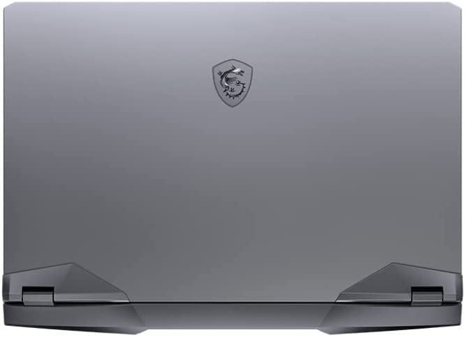 MSI Latest GE76 Raider Gaming Laptop | 17.3