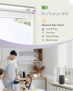 Graywind Motorized Light Filtering Shades Compatible with Alexa Google Rechargeable Remote Control Smart Blinds Automatic Window Shade with Valance for Home Office, Custom Size (Pure White)