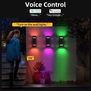 SHIMR Smart Outdoor Lights for House Color Changing 2 Pack, RGB+2700K-6500K Outdoor Wall Sconce Square Aluminum Exterior Lighting Fixtures Waterproof, APP Control Up and Down Lights [ETL Listed]