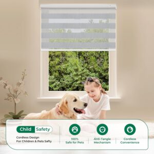 Allesin Motorized Zebra Blinds for Windows - Remote Controlled, Alexa - Compatible Smart Dual - Layer Shades with Dry Battery Motor & Light Filtering (White H72 x W27)