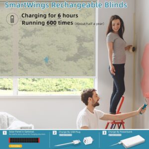 SmartWings Motorized Smart Roller Shades in Light Filtering, Electric Blinds with Remote for Windows Compatible with Alexa/Google Home/Homekit, Customized, Multi-Color Fabric Samples
