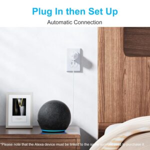 EIGHTREE Smart Plug, Smart Plugs That Work with Alexa & Google Home, Compatible with SmartThings, Smart Outlet with WiFi Remote Control and Timer Function, 2.4GHz Wi-Fi Only, 2Packs