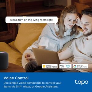 TP-Link Tapo Smart Switch, Single-Pole/3-Way/4-Way, Matter Compatible, Energy Monitoring, Neutral Wire Required, Works with Alexa, Siri, Google Home, SmartThings, UL Certified, 2.4GHZ Wi-Fi, Tapo S515