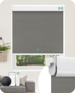 Allesin No Drill Motorized Blinds with Remote | Rechargeable Smart Blackout Roller Shades, Cordless Electric Window Blinds for Bedroom, Living Room, Home Office,Smoky Gray 22x72 Inches