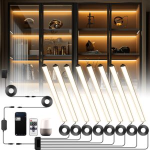 Lumtide Black Shelf Lights, LED Bookcase Lighting Compatible with Alexa, WiFi Dimmable 2700K Under Shelf Lighting for Bookshelf, Display Case, Cabinets with App, Remote, Memory Function (4Pack 12In)